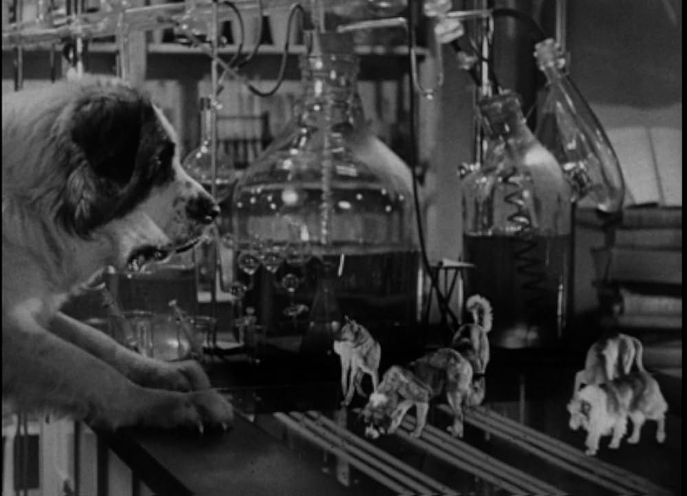 悪魔の人形の画像