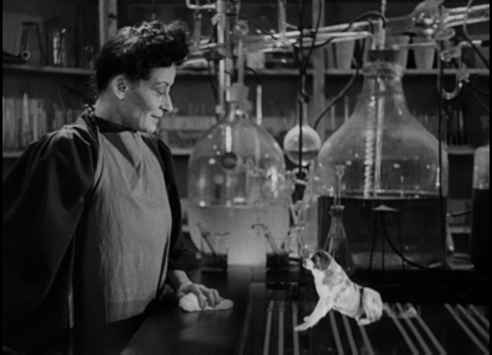 悪魔の人形の画像