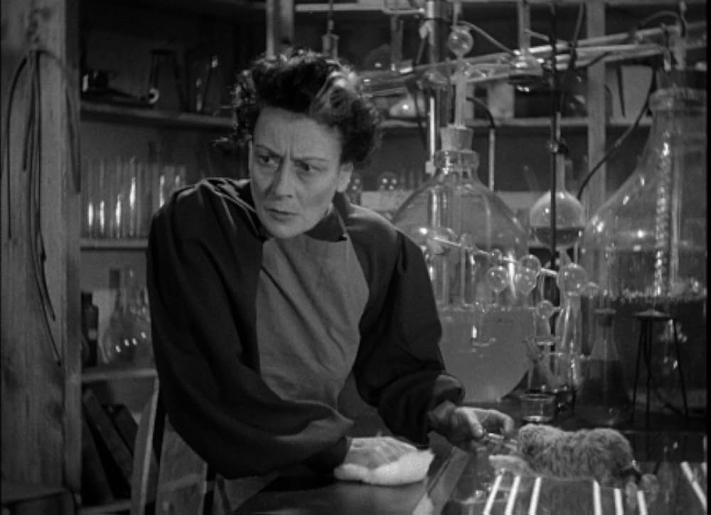 悪魔の人形の画像