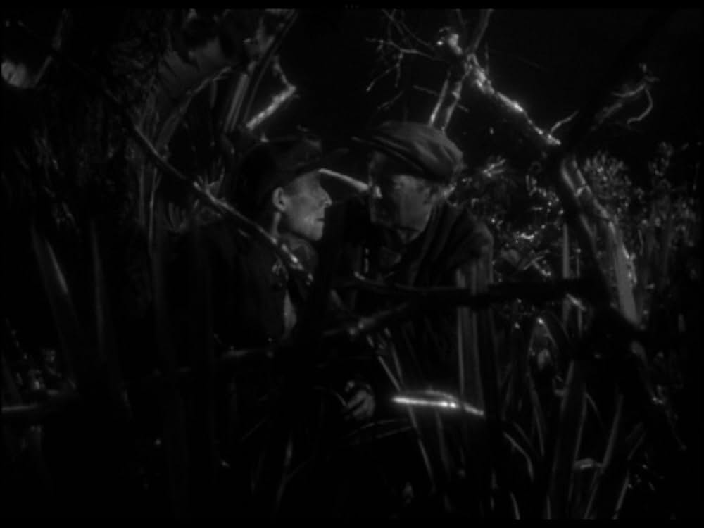 悪魔の人形の画像