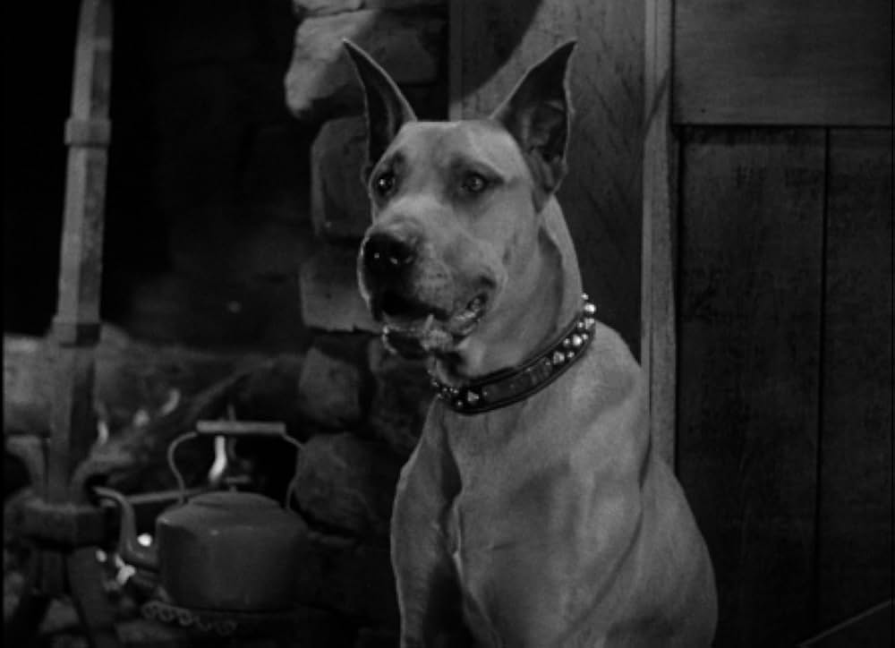 悪魔の人形の画像