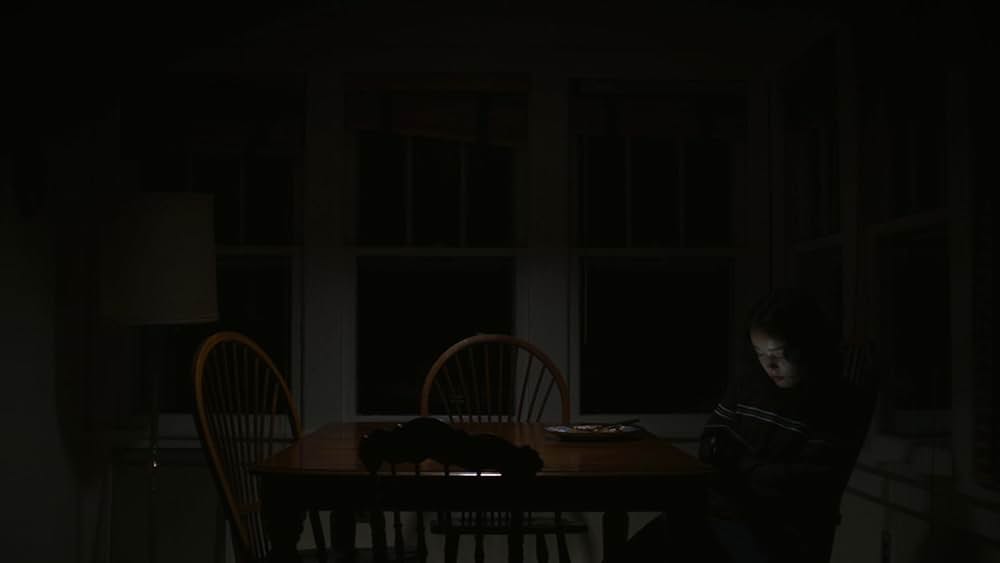 We're All Going to the World's Fair（原題）の画像