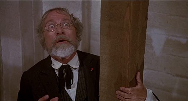 メル・ブルックス／新サイコの画像