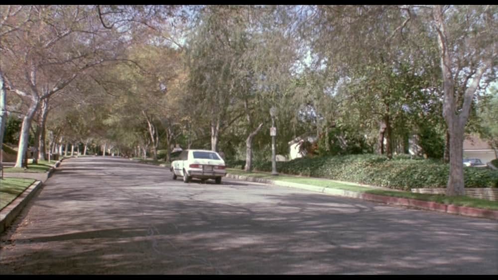 運転免許証の画像