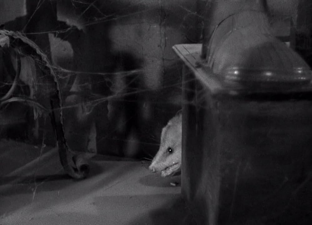 古城の妖鬼の画像