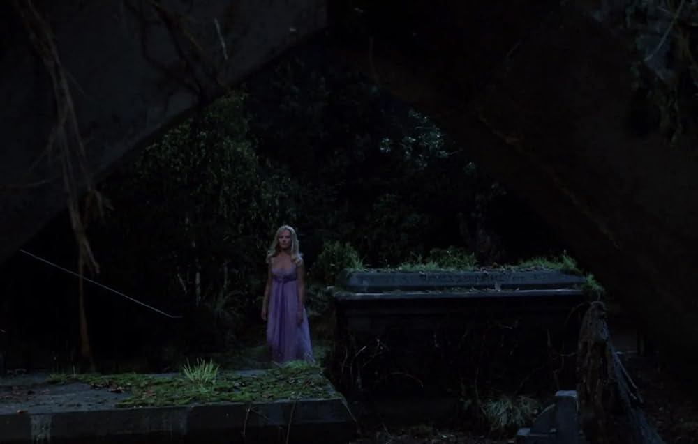 恐怖の吸血美女の画像