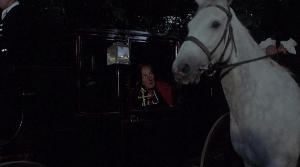 恐怖の吸血美女の画像