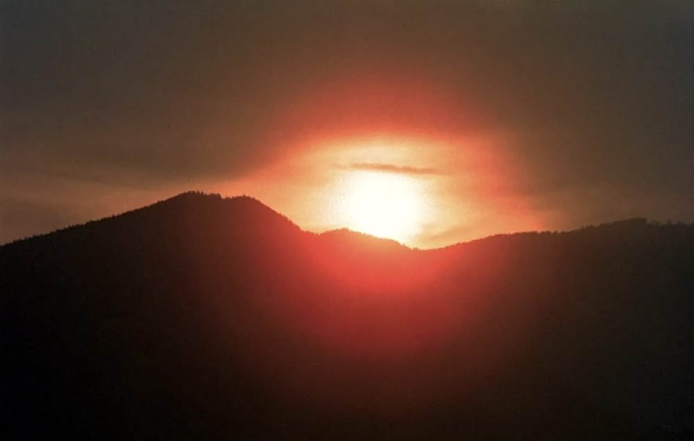 恐怖の吸血美女の画像