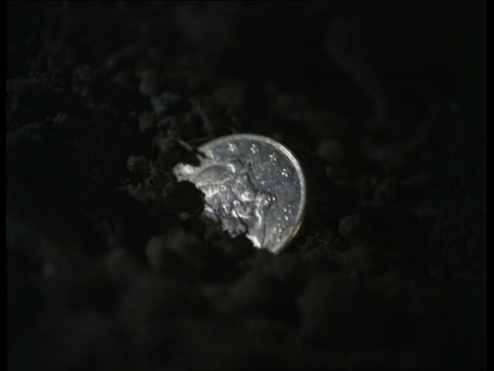 死を招くソナタの画像