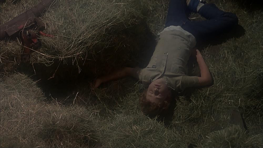 死霊懐胎の画像