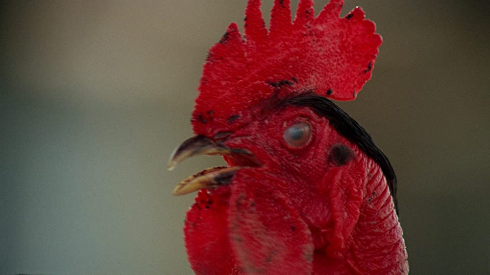 恐怖の報酬 オリジナル完全版の画像