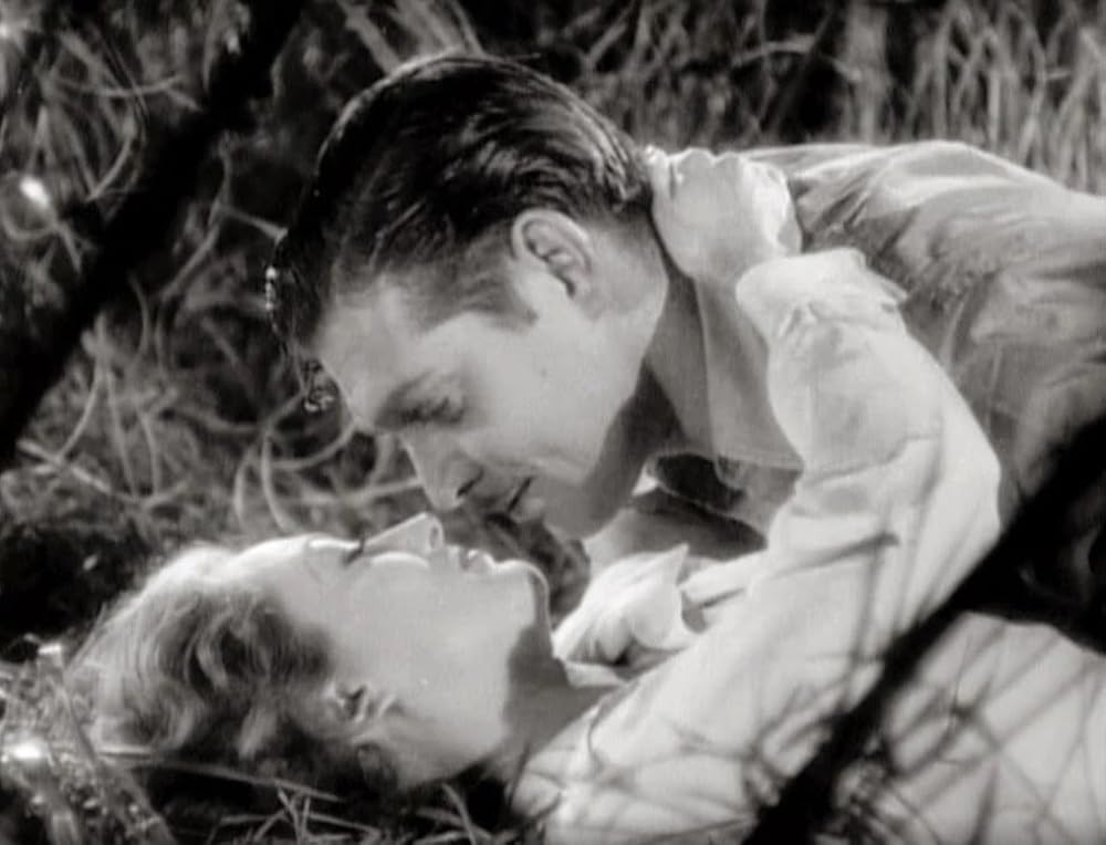 私のダイナの画像