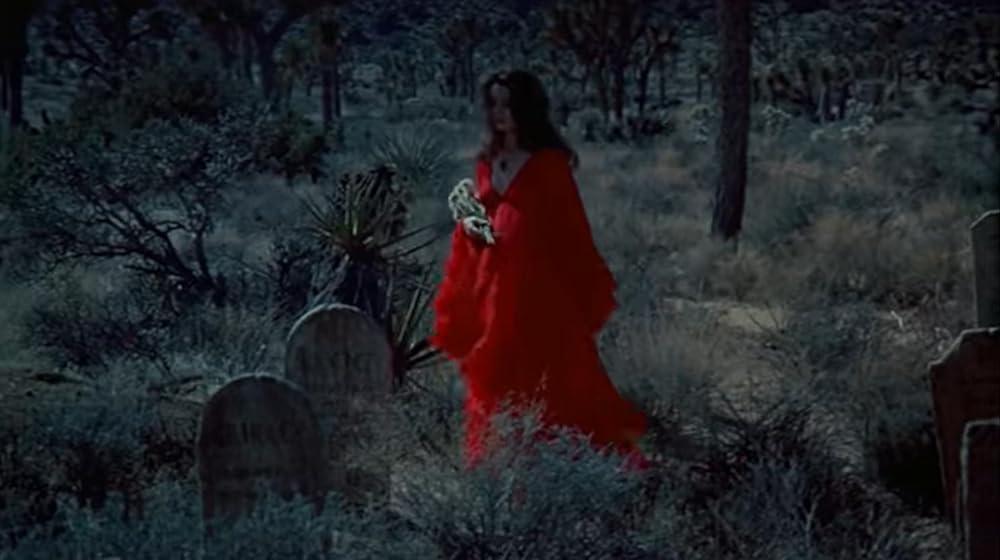 ベルベット・バンパイアの画像