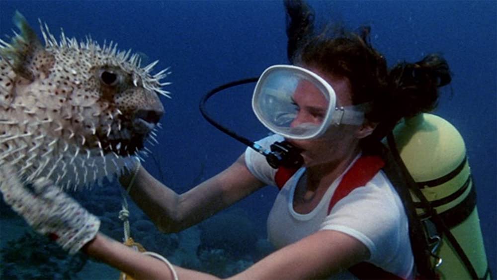 「ザ・ディープ」ジャクリーン・ビセットの画像