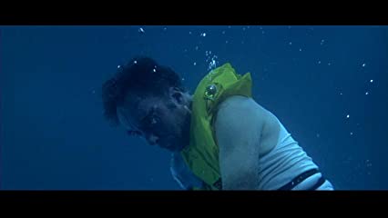 「エアポート'77 バミューダからの脱出」クリストファー・リーの画像