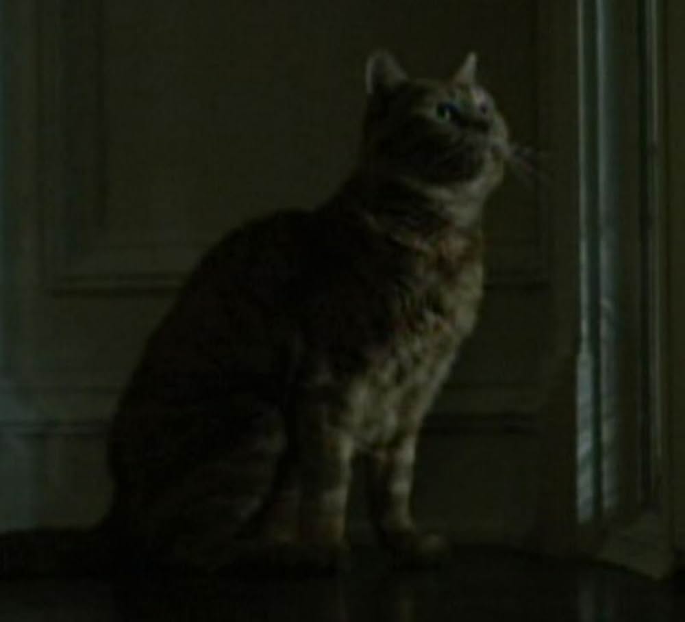 ゴーン・ガールの画像