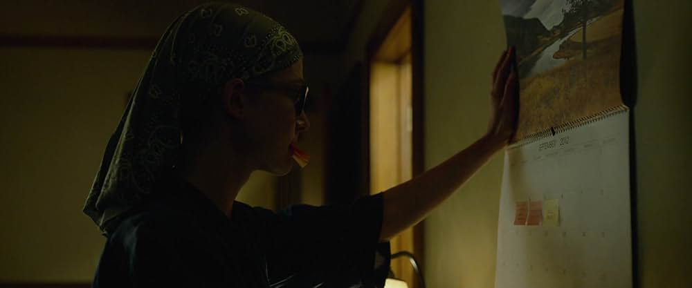 ゴーン・ガールの画像