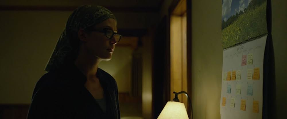 ゴーン・ガールの画像