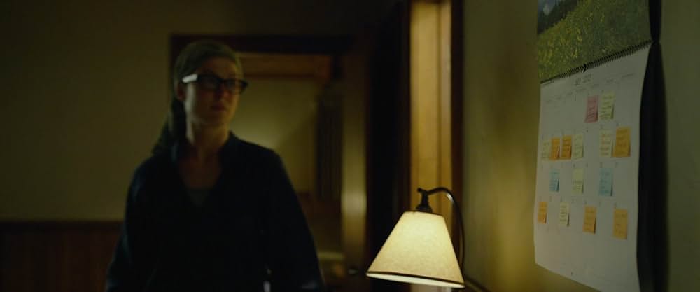 ゴーン・ガールの画像