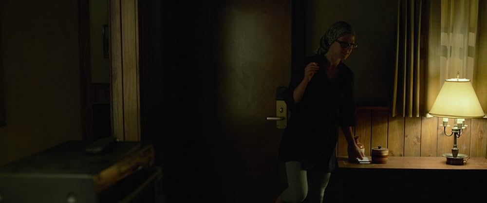 ゴーン・ガールの画像