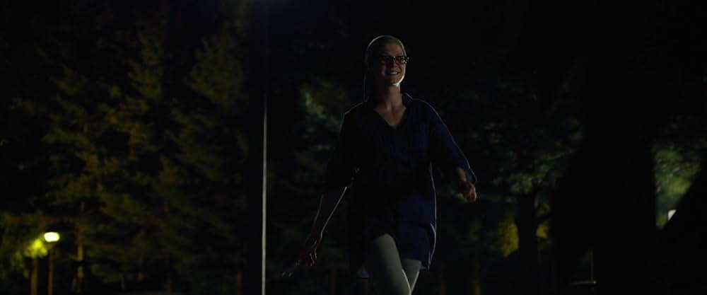 ゴーン・ガールの画像