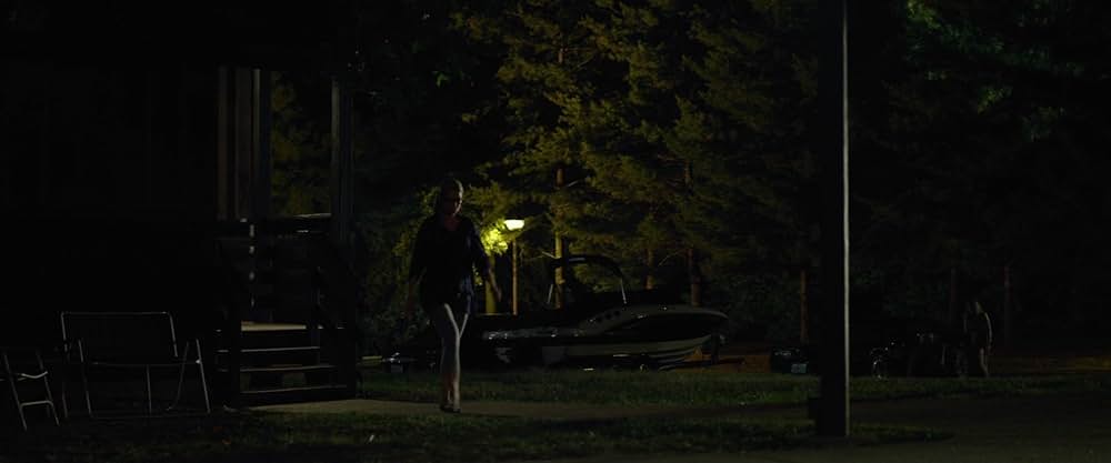 ゴーン・ガールの画像