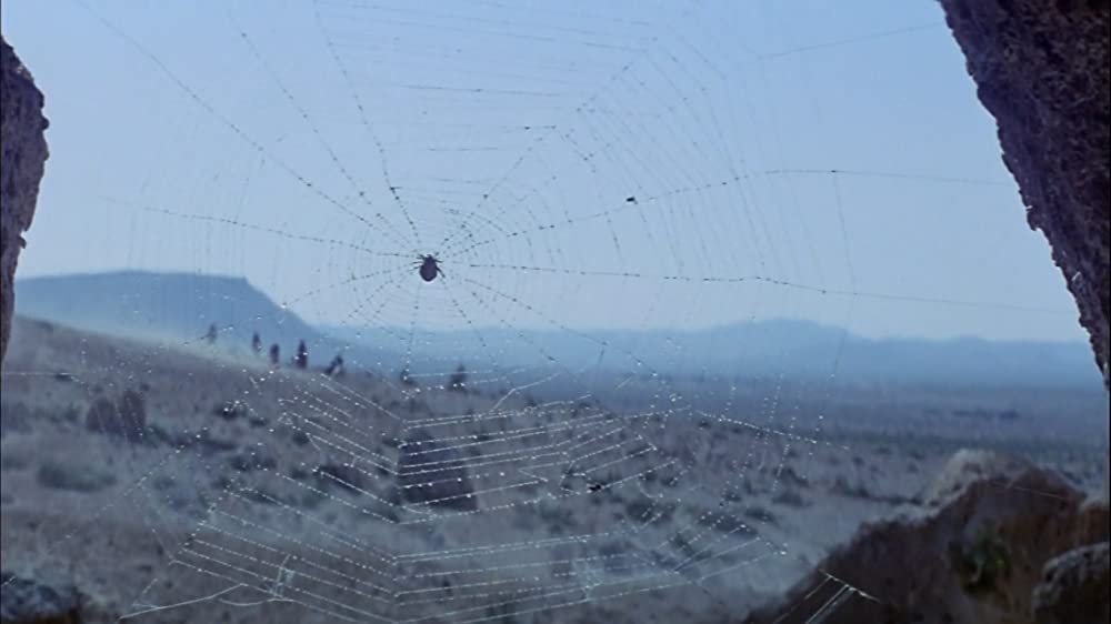 ザ・メッセージの画像