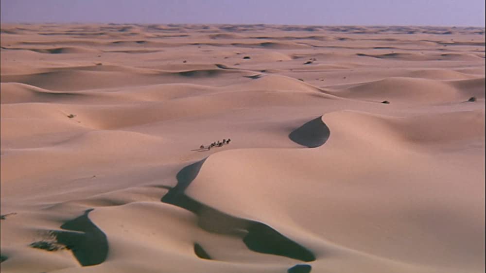 ザ・メッセージの画像