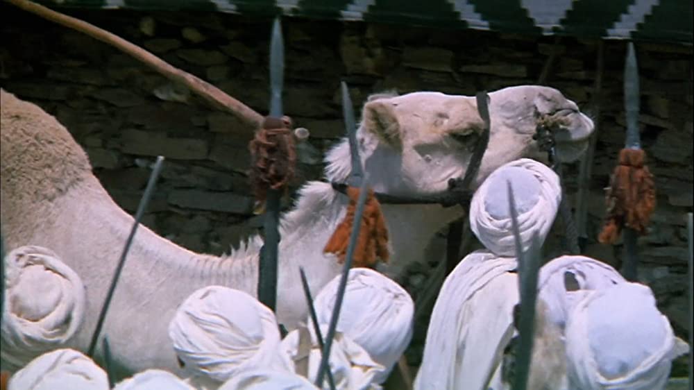 ザ・メッセージの画像