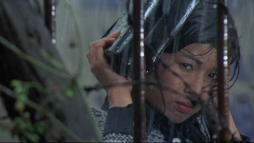 天使のはらわた 名美の画像