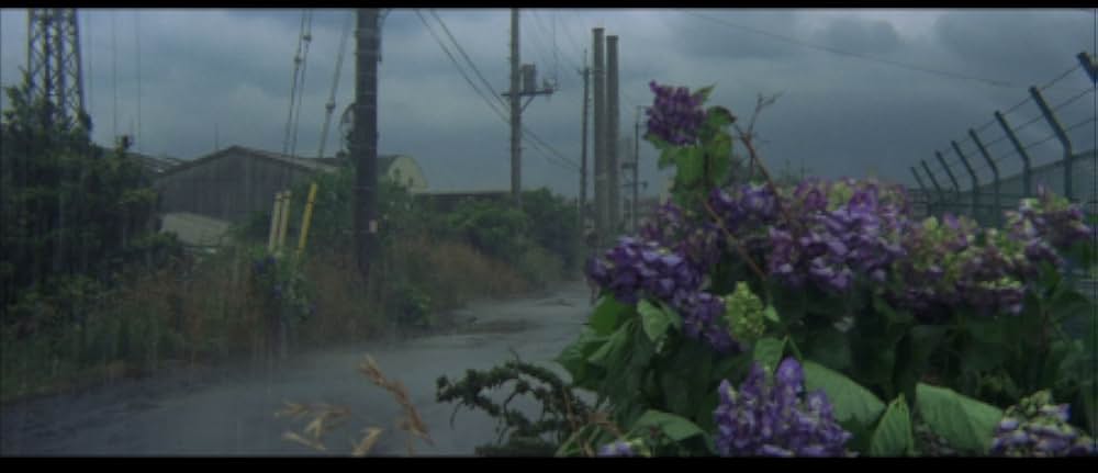 天使のはらわた 名美の画像