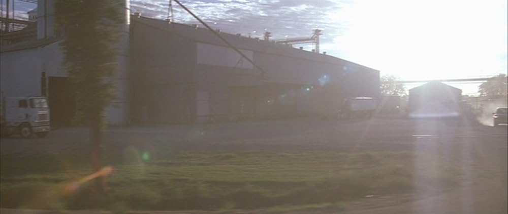 Shotgun Stories（原題）の画像