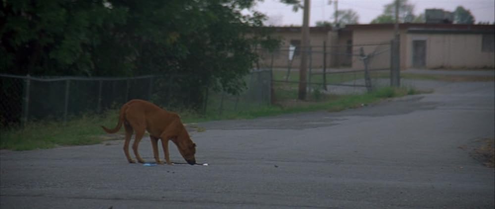 Shotgun Stories（原題）の画像