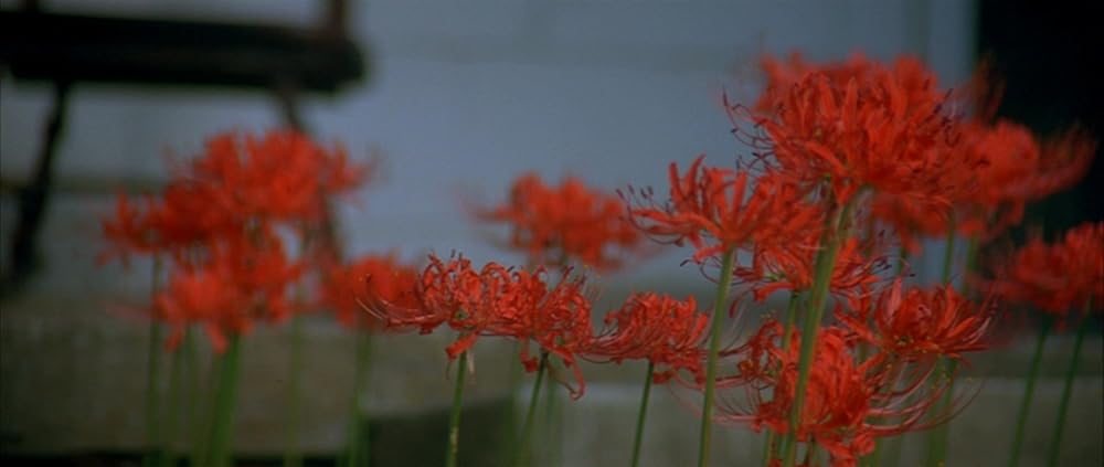 Shotgun Stories（原題）の画像