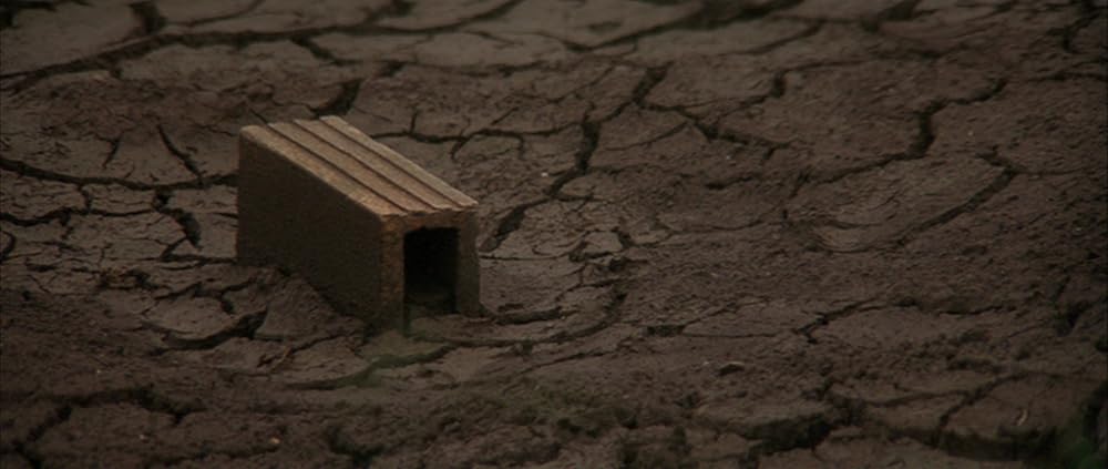 Shotgun Stories（原題）の画像