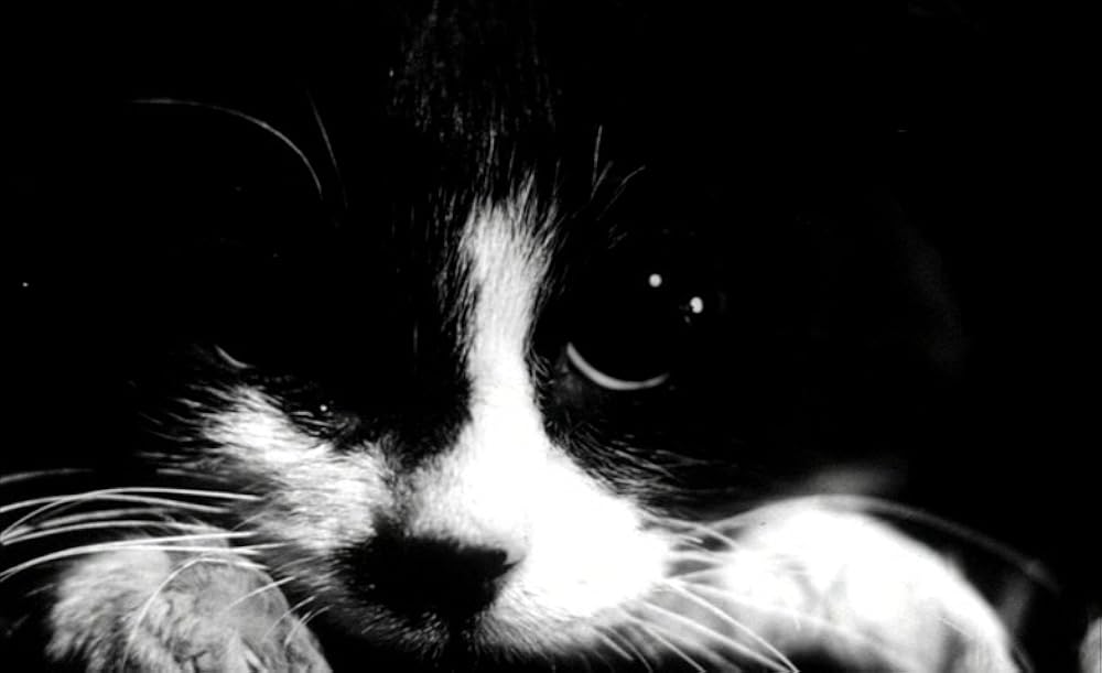 カイロ中央駅の画像