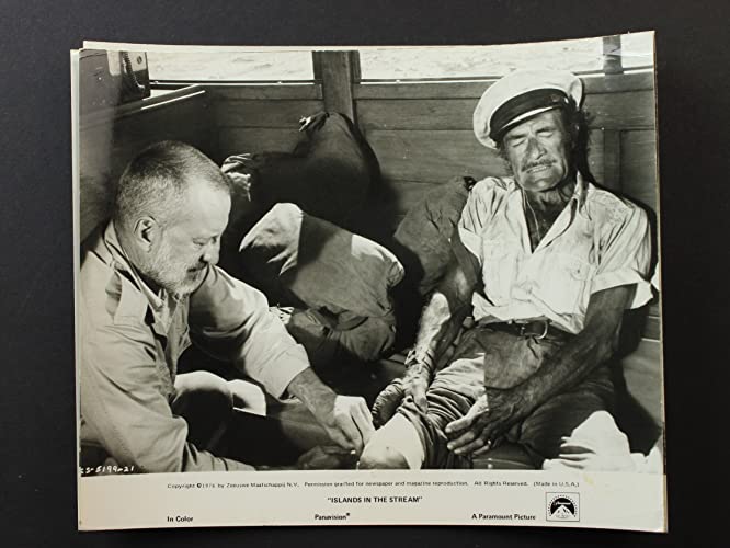 「海流のなかの島々」の画像