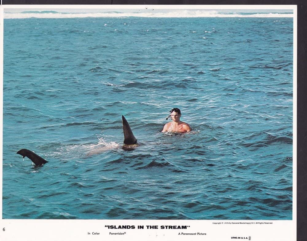 「海流のなかの島々」の画像