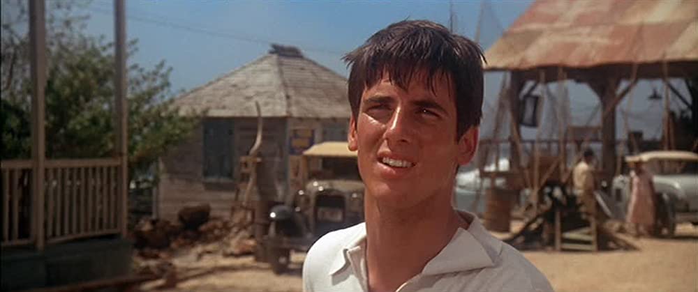 「海流のなかの島々」ハート・ボックナーの画像