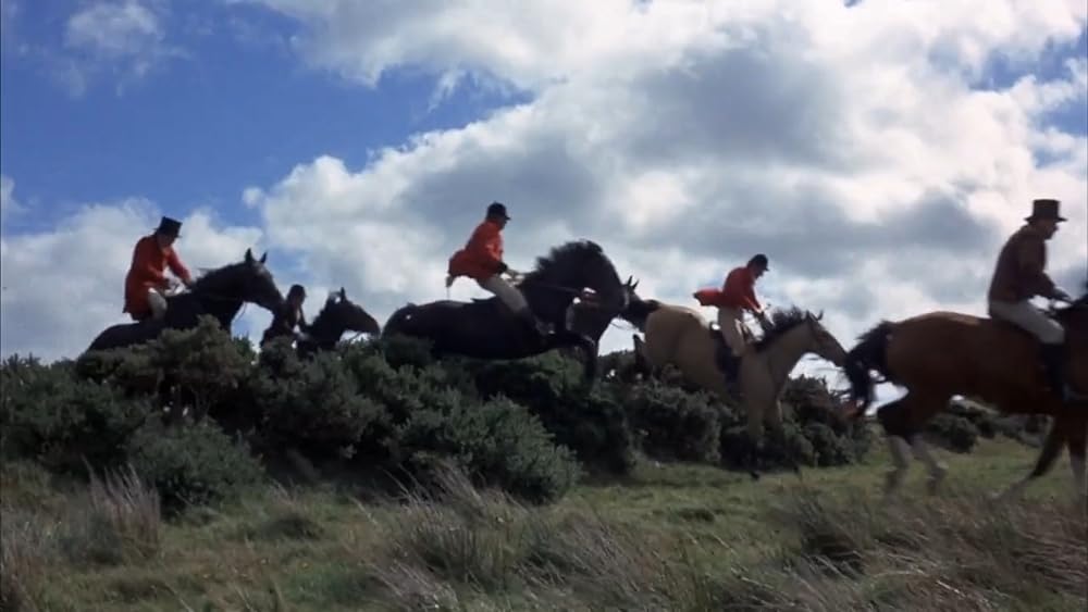 黒馬物語の画像