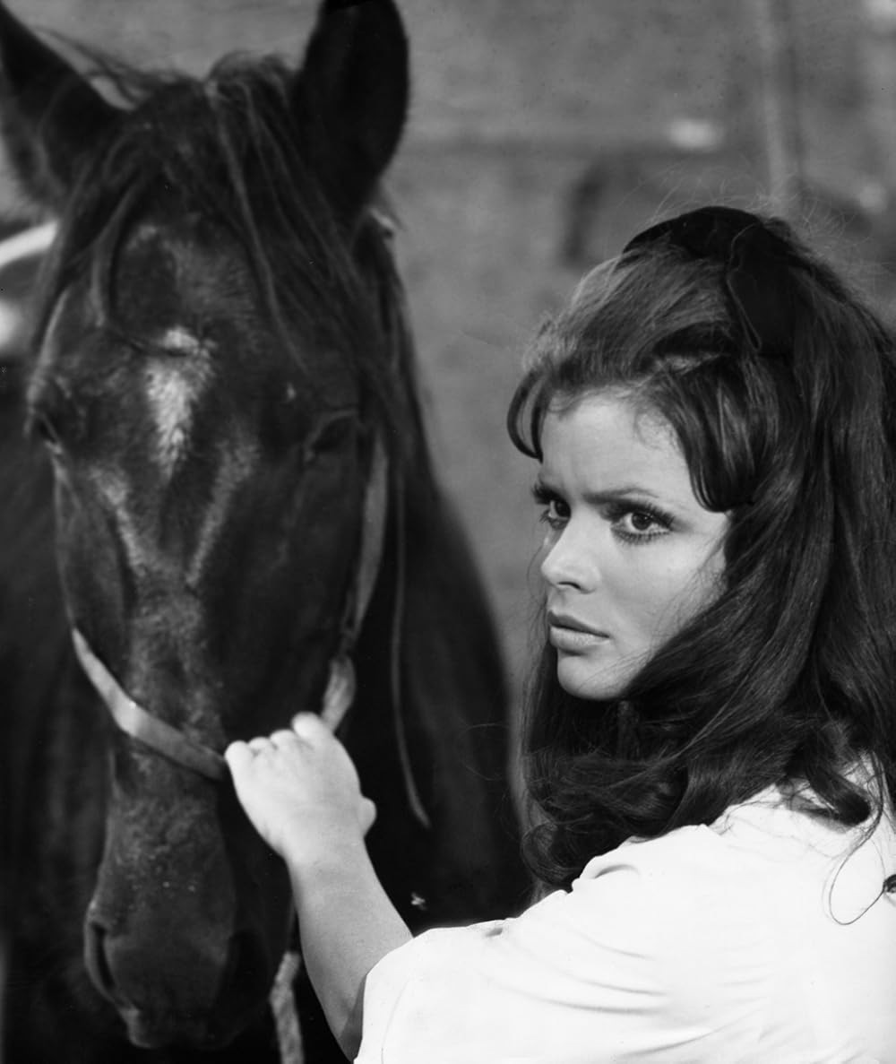 黒馬物語の画像