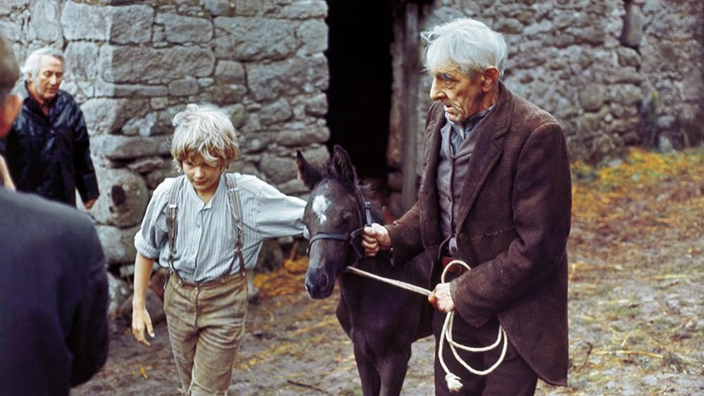 黒馬物語の画像