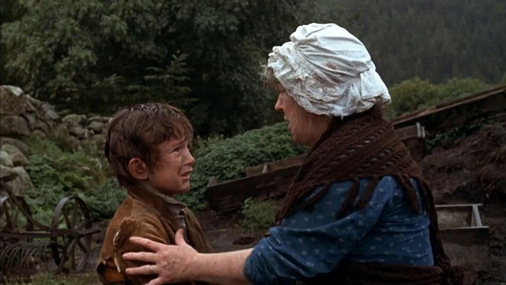 黒馬物語の画像