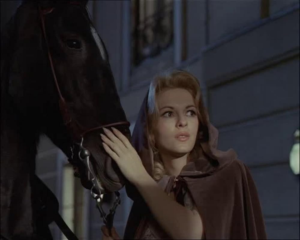 黒馬物語の画像