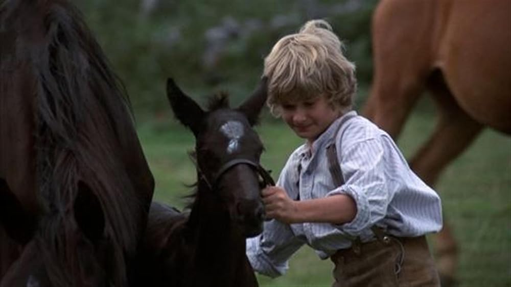 黒馬物語の画像