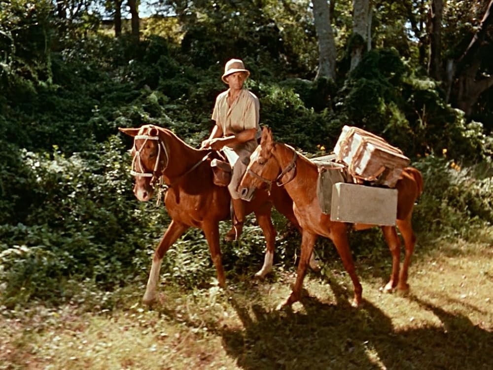 大いなる神秘／王城の掟の画像