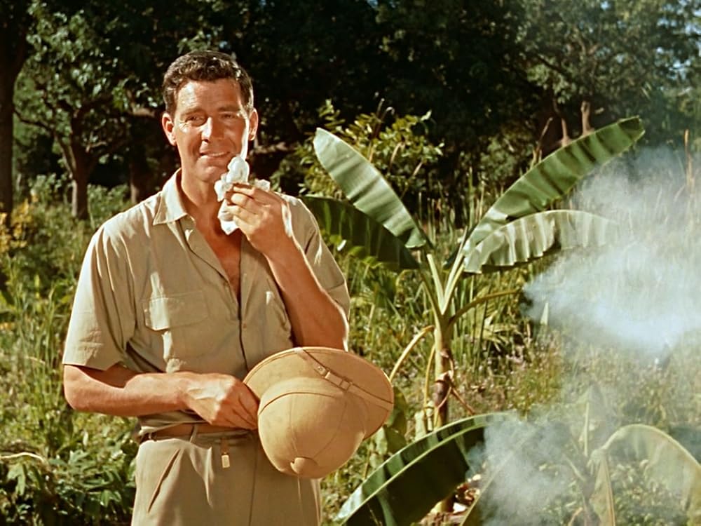 大いなる神秘／王城の掟の画像