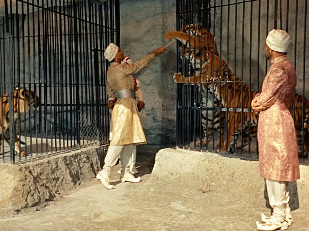 大いなる神秘／王城の掟の画像