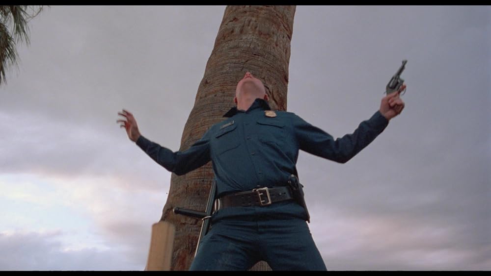 ニンジャの画像