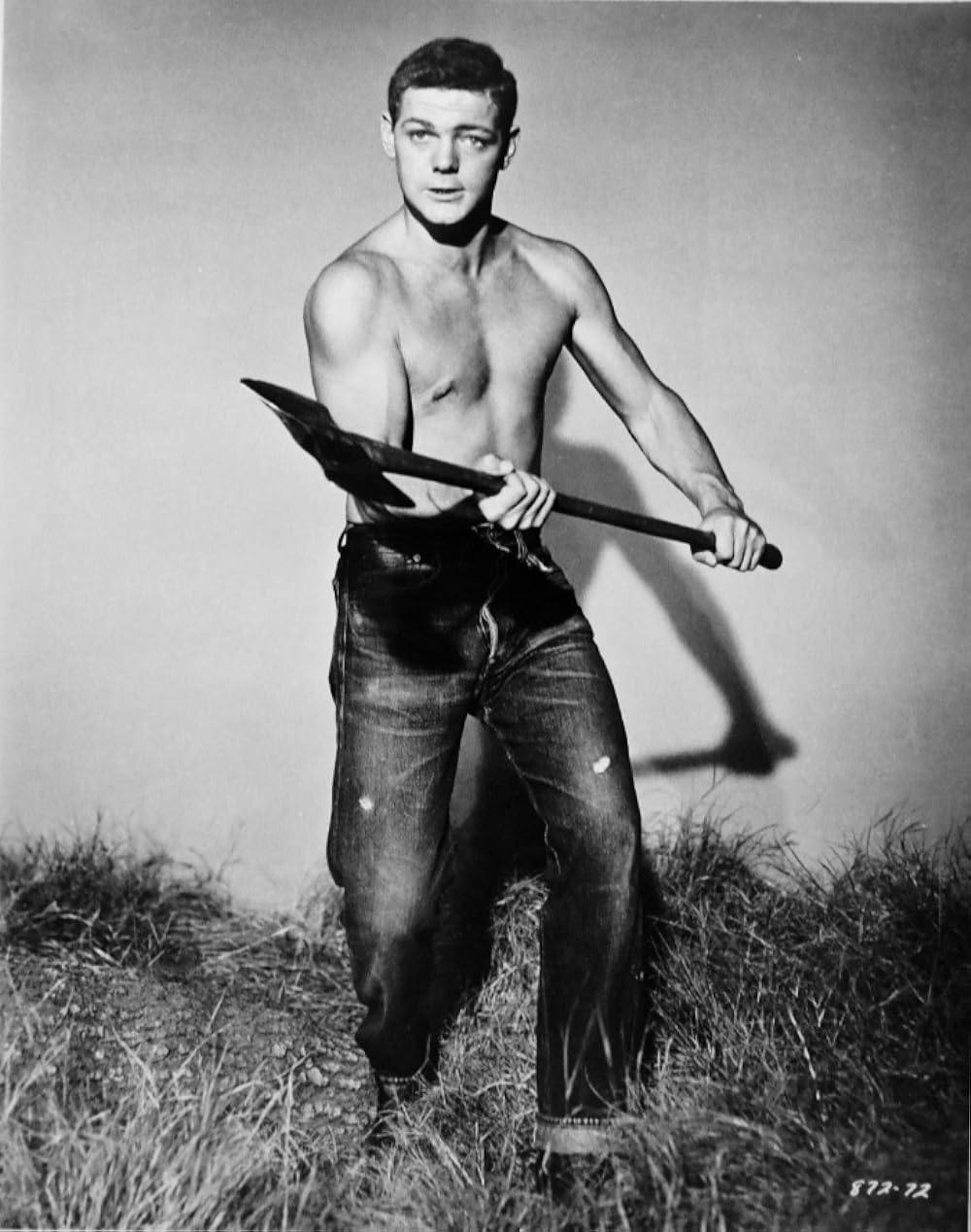 スペンサーの山の画像